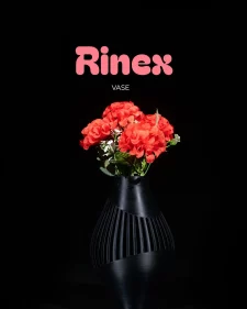 Rinex Vase